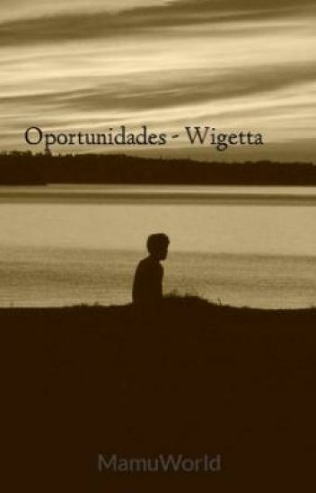 Oportunidades - Wigetta