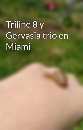Triline 8 Y Gervasia Trio En Miami