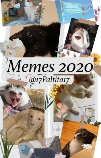 Memes 2020 (primera Parte)