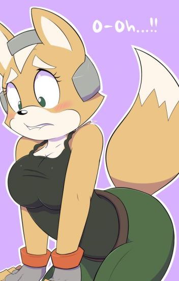 Welcome To The Team-female Fox Mccloud X Male Reader