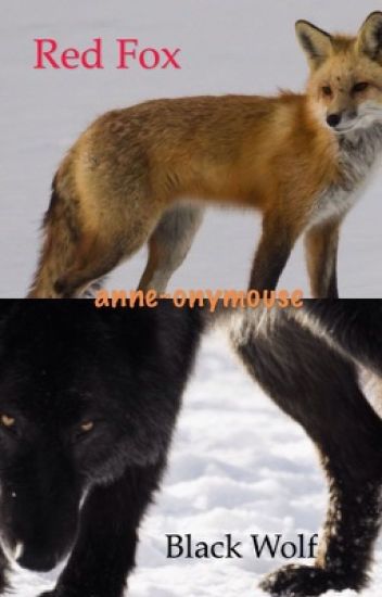 Red Fox Black Wolf