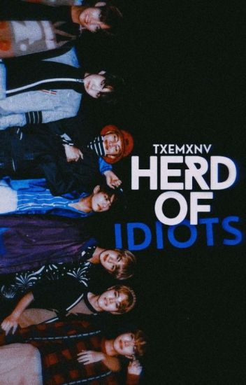 Herd Of Idiots × Bts