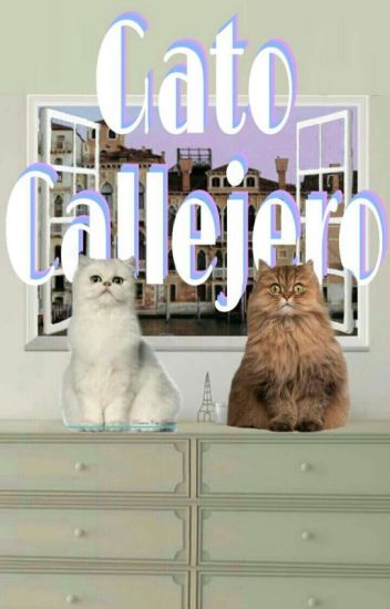 Gato Callejero -yugkook-