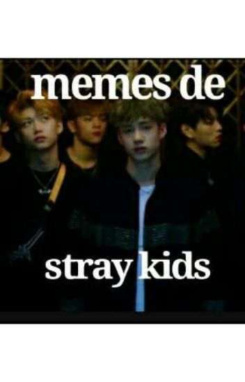 [memes Stray Kids]
