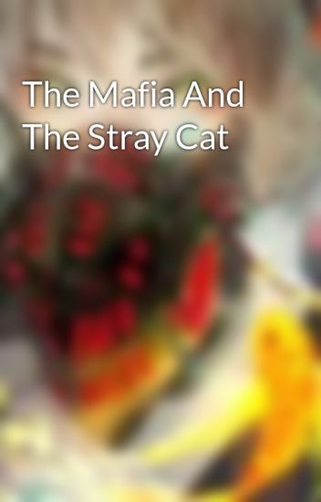 The Mafia And The Stray Cat