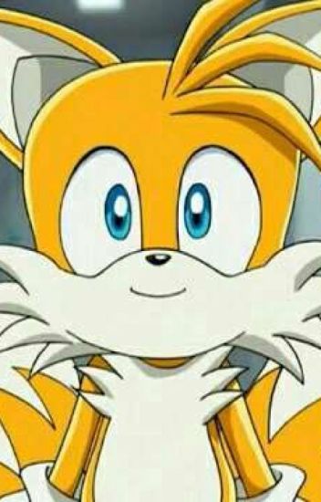 Tails X Male Reader
