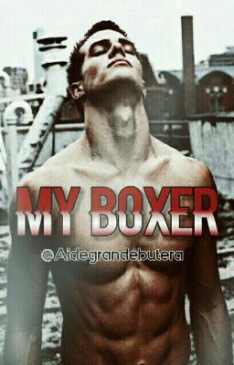 my Boxer.