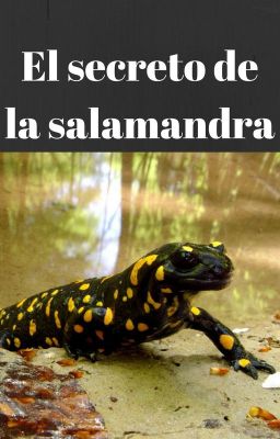 el Secreto de la Salamandra