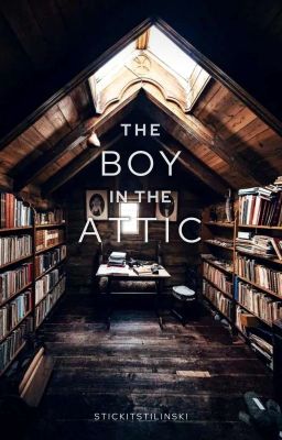 The Boy In The Attic  •en Proceso•