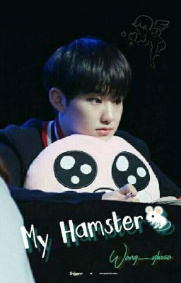 my Hamster 🐁 ; Kwon Soonyoung