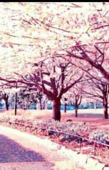 Un Árbol De Sakura
