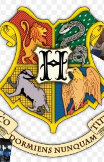 Hogwarts School(ecko)