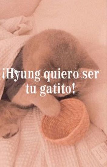 ¡hyung Quiero Ser Tu Gatito! [yoonmin]