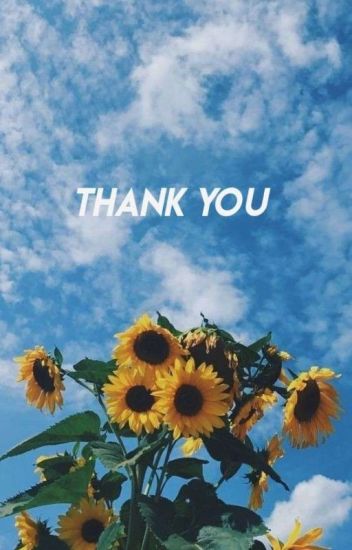 💤 Thank You 💤 💕jiyoo💕 ✨dreamcatcher✨