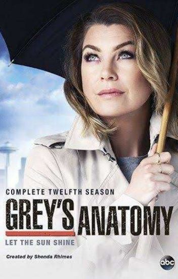 One Shot De Grey's Anatomy