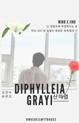 Diphylleia Grayi [mino x Jinwoo]