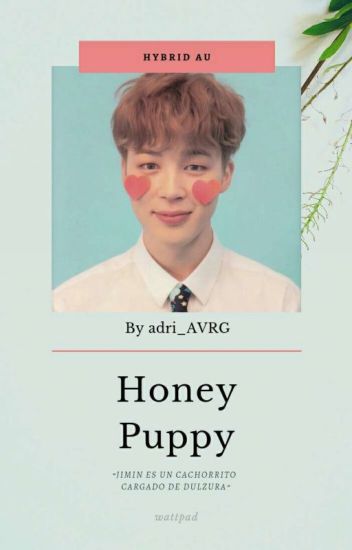 Honey Puppy → Park Jimin