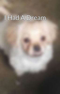 i had a Dream