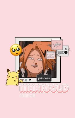 Marigold | Kaminari Denki