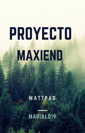 Proyecto Maxiend