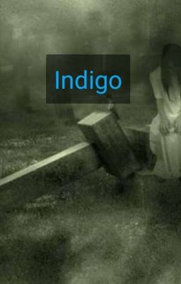 Indigo(kisah Nyata)