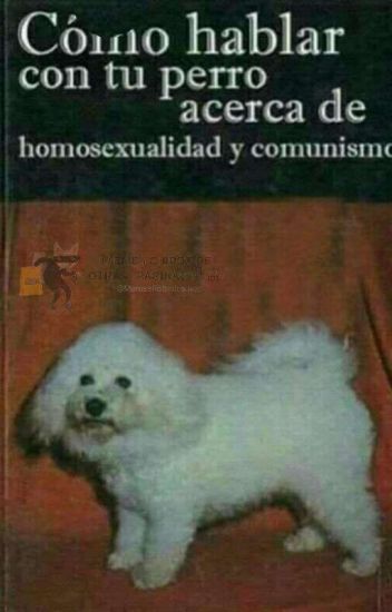 Cómo Hablar Con Tu Perro Acerca De Homosexualidad Y Comunismo