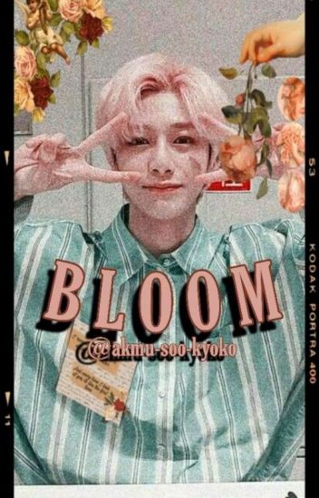 Bloom [🌼] || Chae Hyungwon
