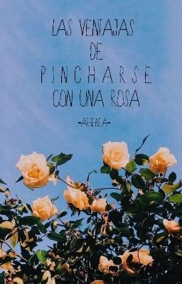 Las Ventajas De Pincharse Con Una Rosa.