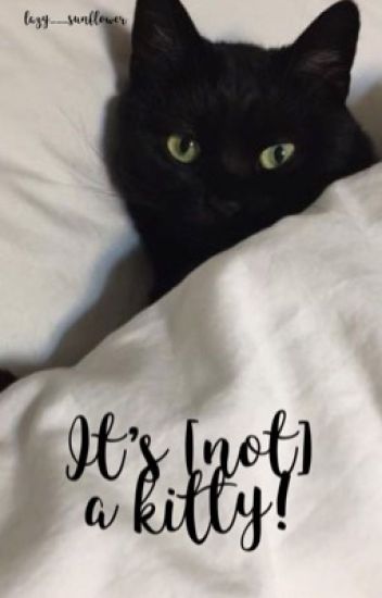 It's [not] A Kitty! ; Jimsu ♡