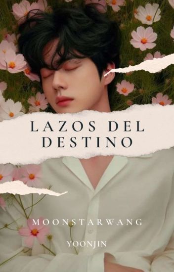 Lazos Del Destino|🍎|yoonjin