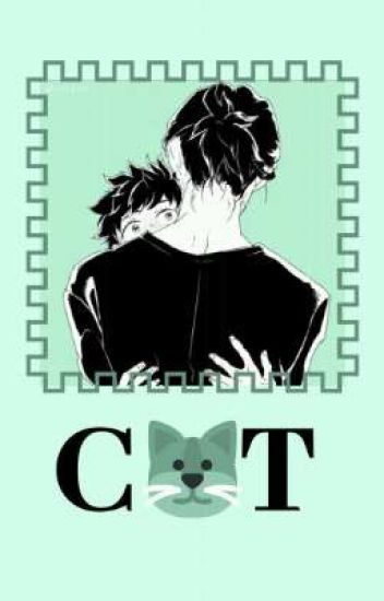 Cat | Aizawa×midoriya