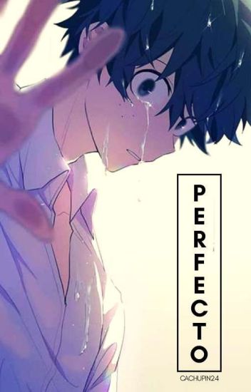 × Perfecto [todobaku Cancelado] ×