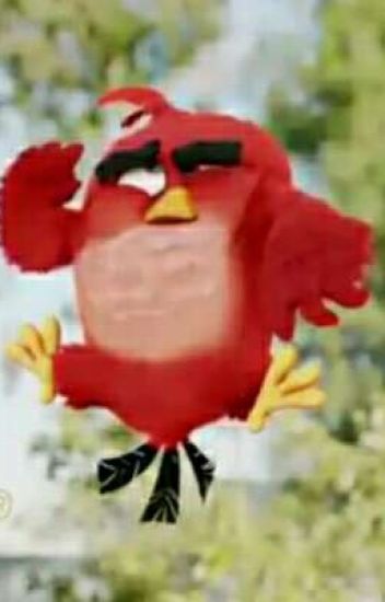 Imágenes De Angry Birds