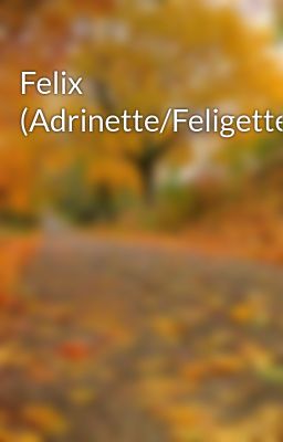 Felix (adrinette/feligette)