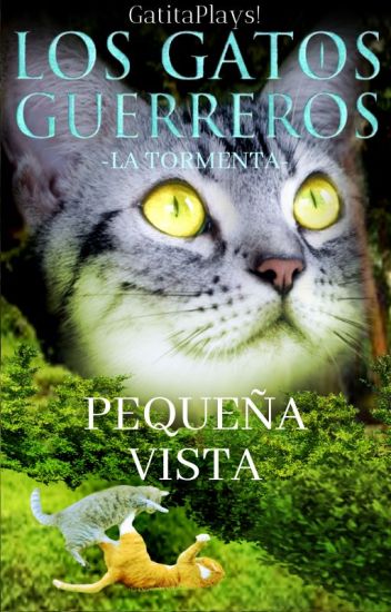 Los Gatos Guerreros ~ Pequeña Vista ~ Tormenta # 1