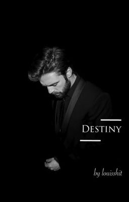 Destiny || Sebastian Stan