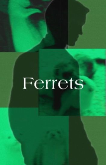 Ferrets (español) || Draco Malfoy