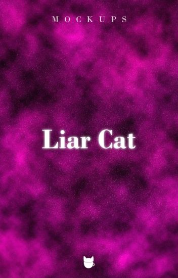 Liar Cat - Mockups