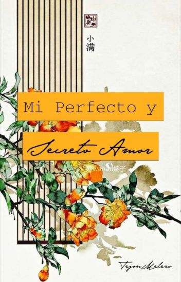 Mi Perfecto Y Secreto Amor (libro # 3)