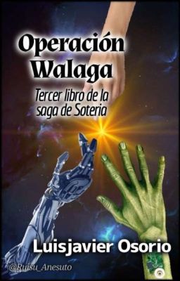 Operación Walaga