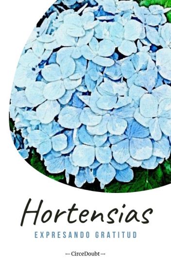 Hortensias - Expresando Gratitud
