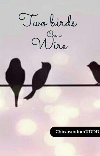 Two Birds On Wire