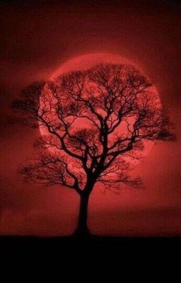 red Moon (the Desire Gives the Pass...