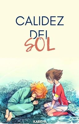 Calidez Del Sol