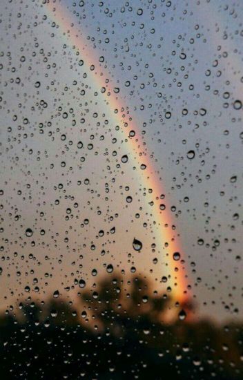 "rainbow"[soramafu]
