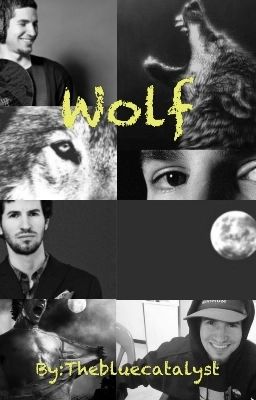 Wolf (fanfic Linkin Park )