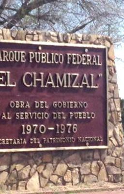 La Historia Del Chamizal, El Territorio Que Ee.uu Regreso A Mexico