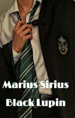 Marius Sirius Black Lupin