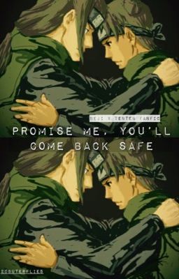 Promise me, You'll Comeback Safe