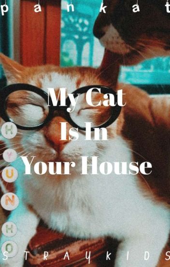My Cat Is In Your House 「hyunjinxminho」